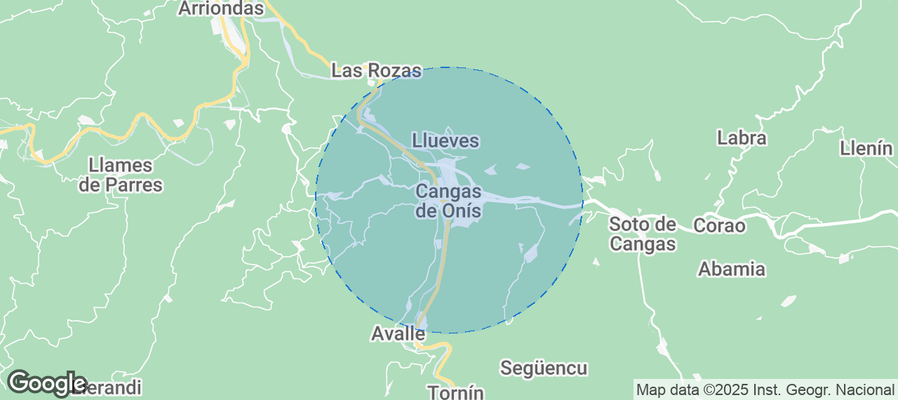 Discover Cangas de Onís Airbnb Analytics